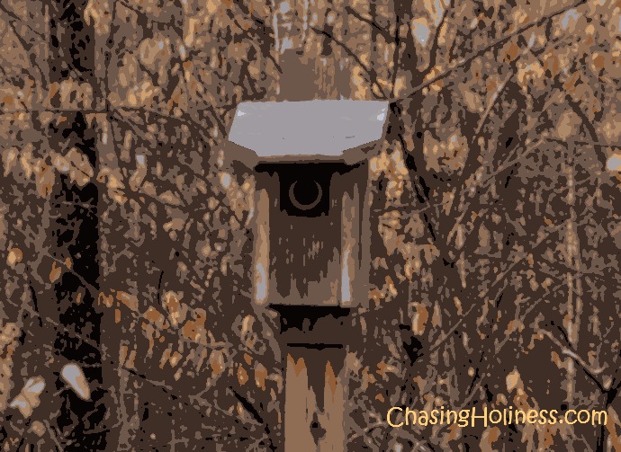 …And, Don’t Eat the Birdseed