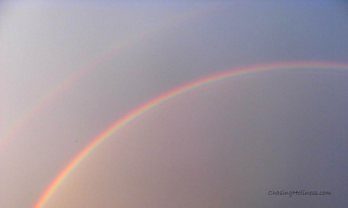 The Stuff That Dreams are Made of…