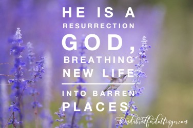 February Giveaway & Exciting Announcements