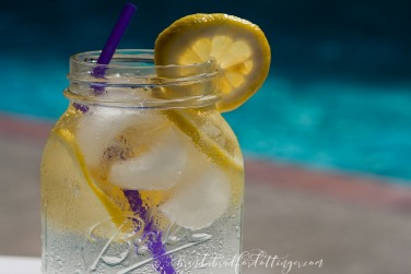 Monthly Giveaway & Summer News