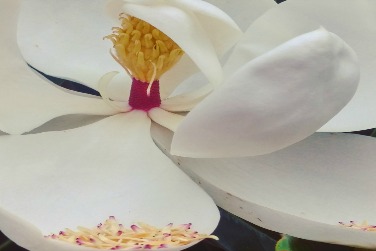 Summer’s Classroom