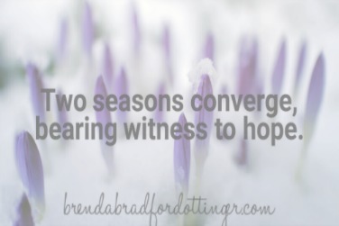 Snow Still Falls in Spring